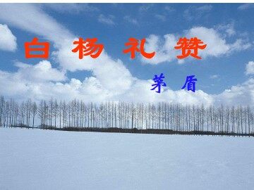 白杨礼赞_课件3