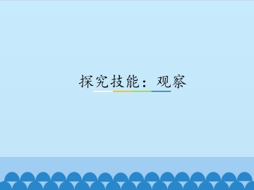 探究技能：观察_课件3
