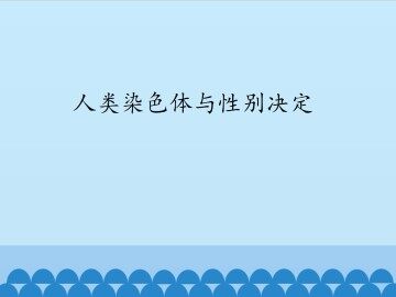 人类染色体与性别决定_课件1