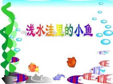 浅水洼里的小鱼_课件2