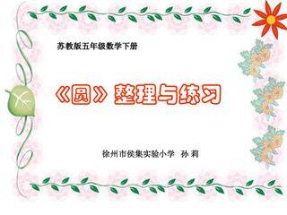 圆的周长和面积练习课