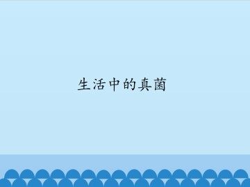 生活中的真菌_课件1