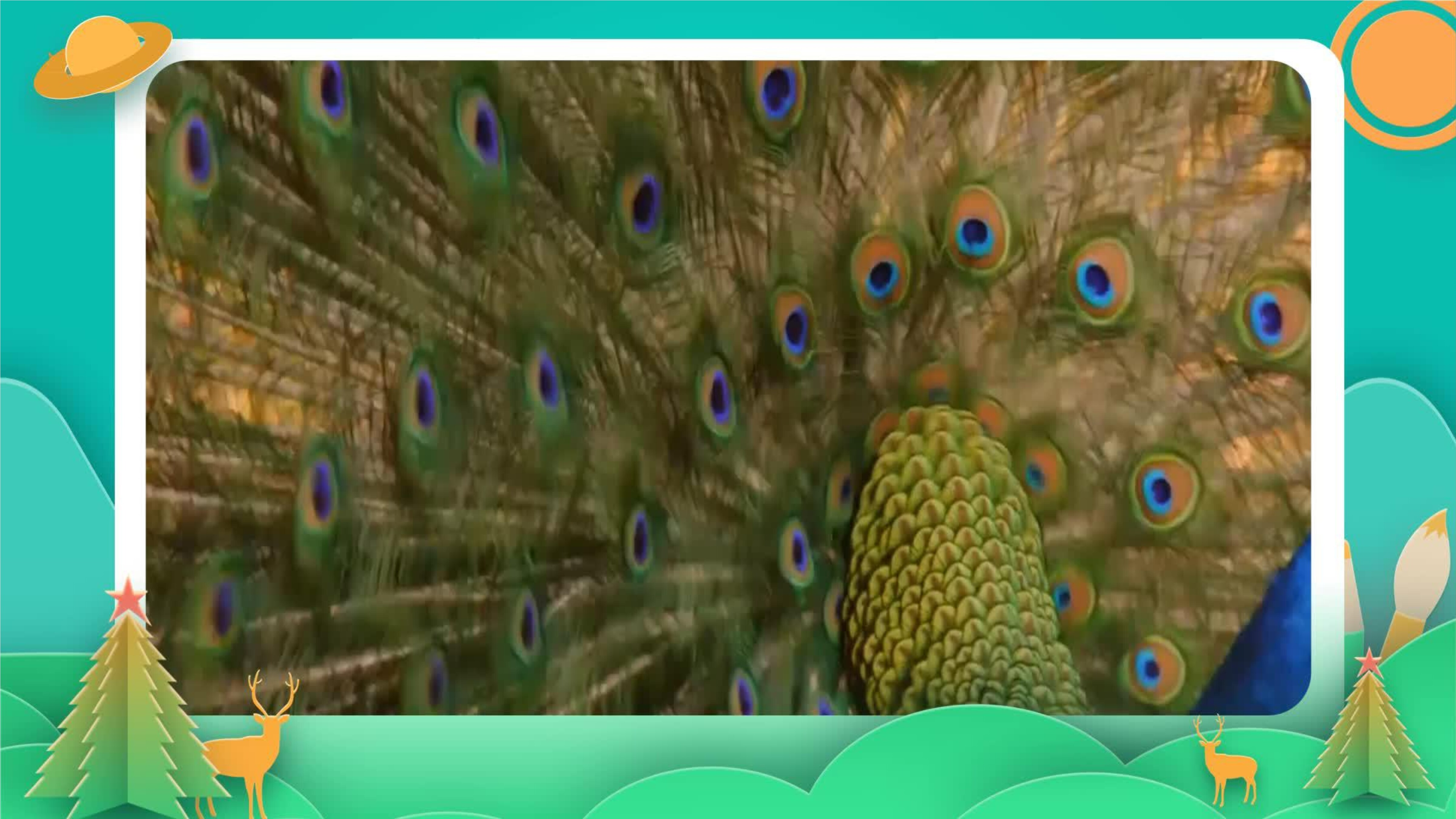33