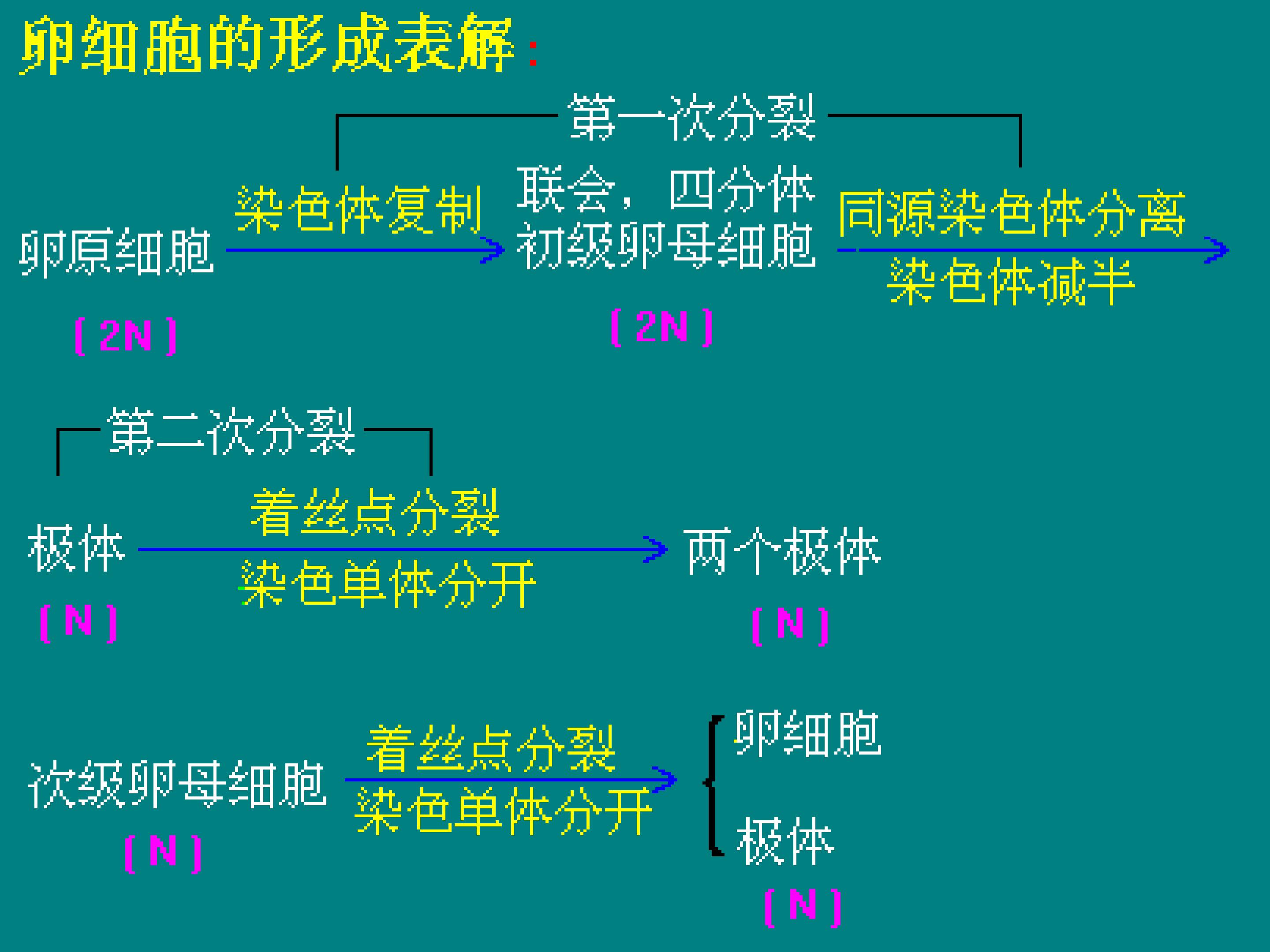 26.jpg