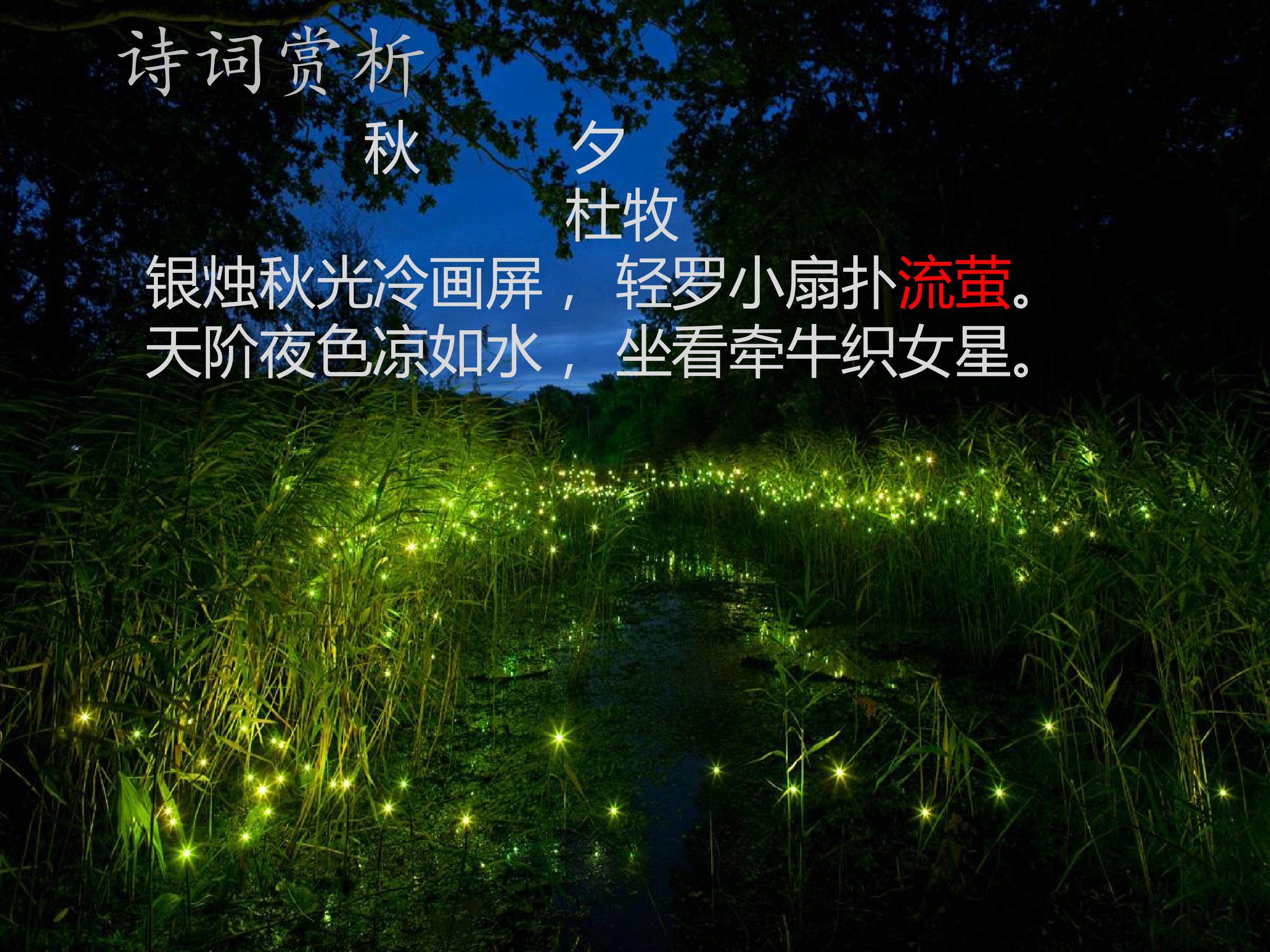 生态系统的信息传递