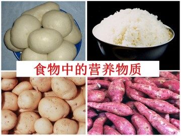 食物中的营养物质_课件1