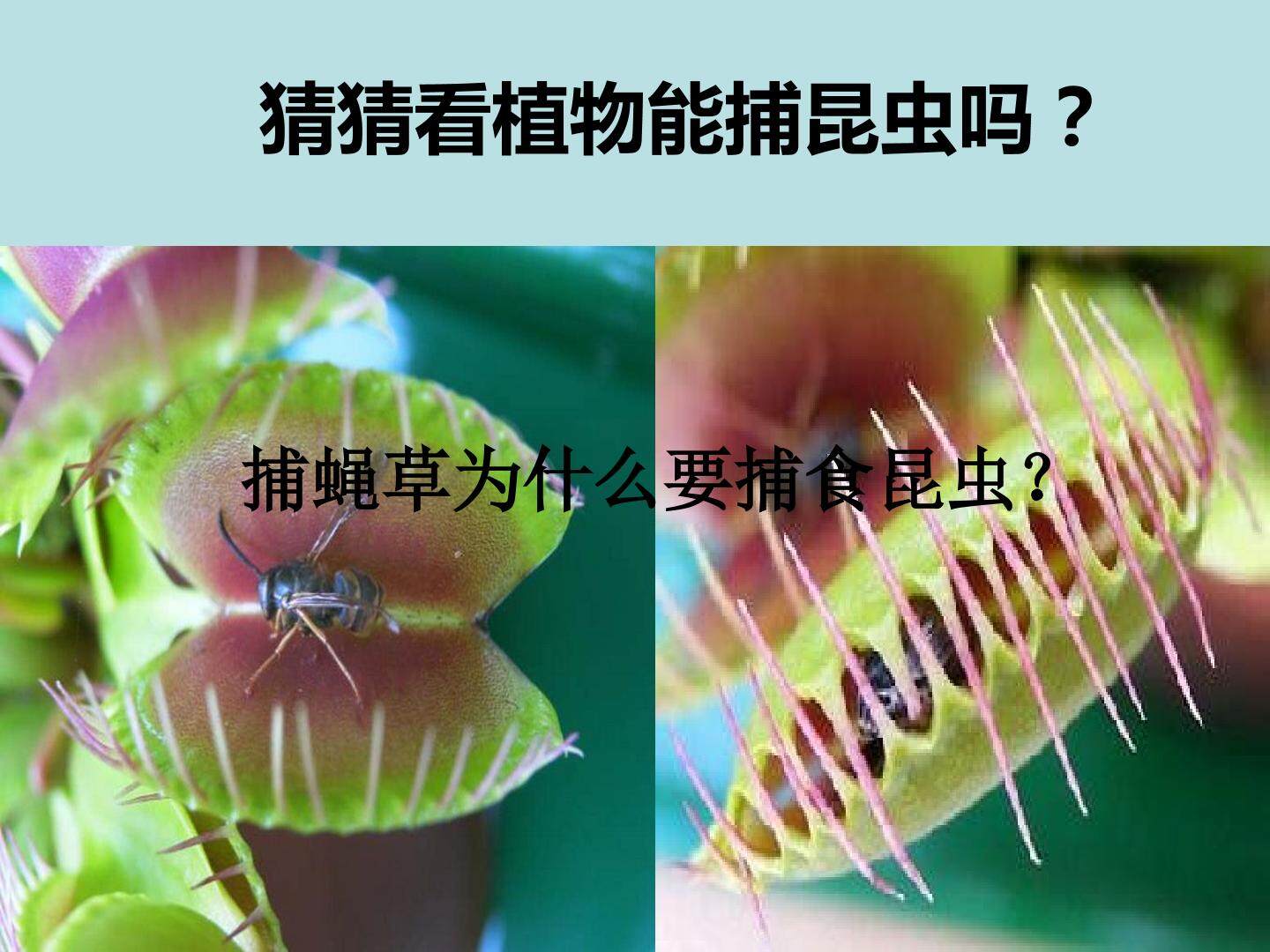 《原来是相互关联的》课件2