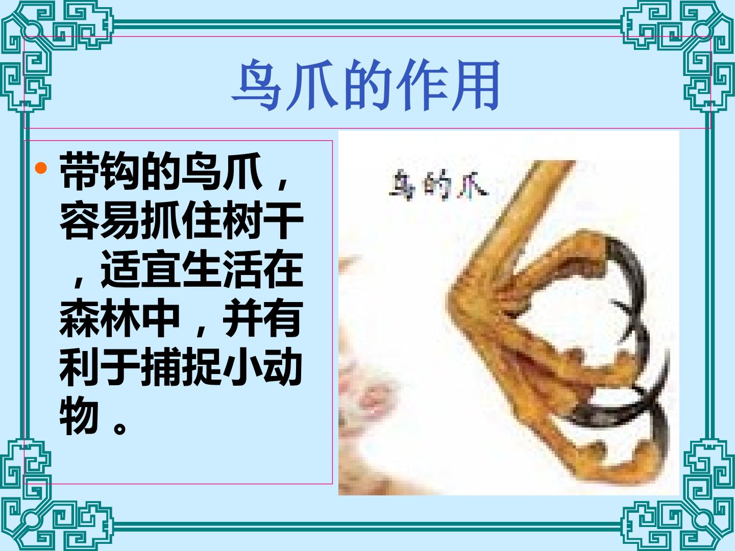 23.jpg