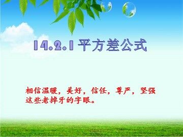 14.2.1 平方差公式