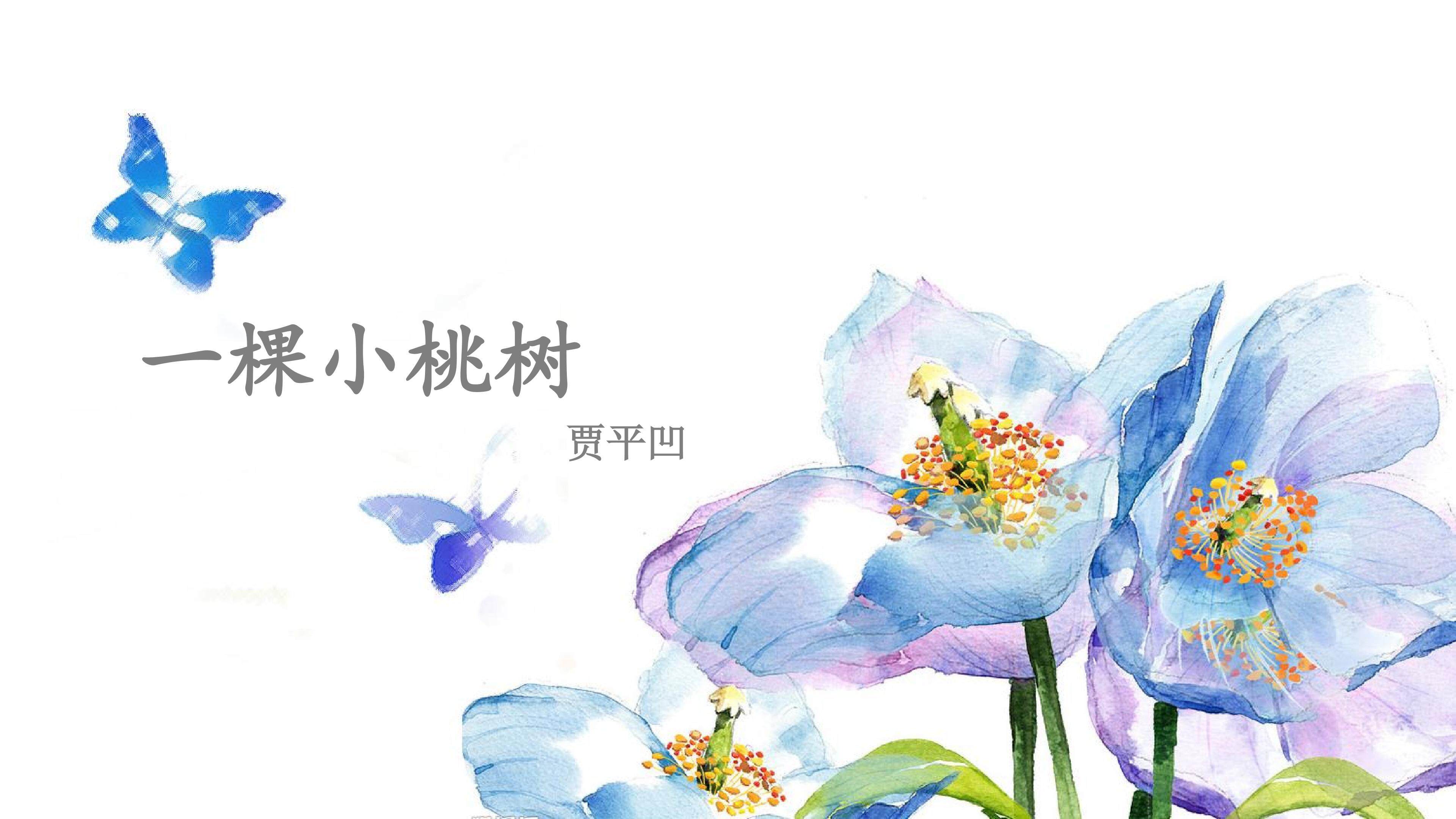 一棵小桃树