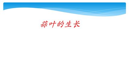 【★】5年级数学苏教版下册课件第2单元后《蒜叶的生长》