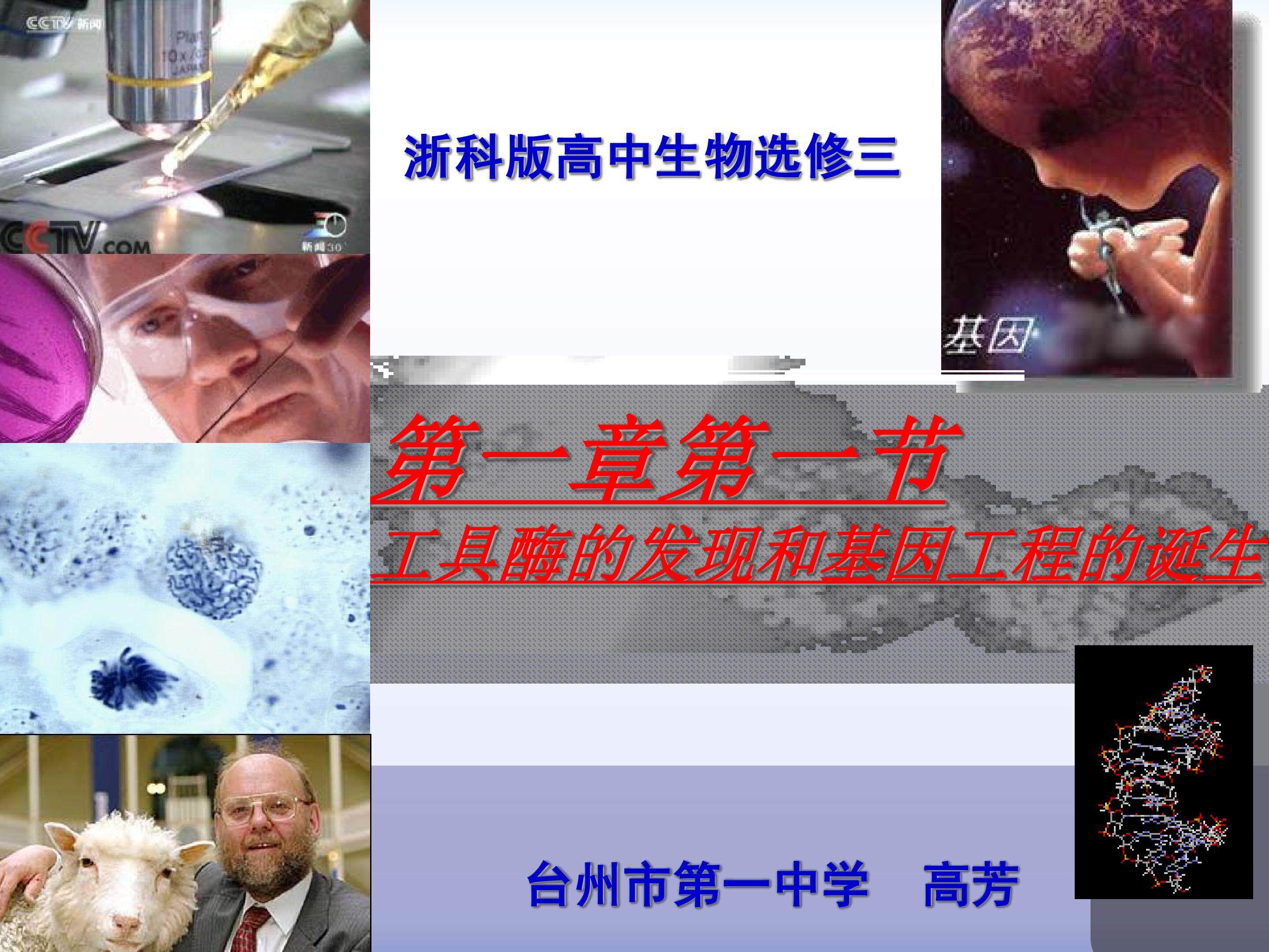 《工具酶的发现和基因工程的诞生》课件-高芳台州市第一中学
