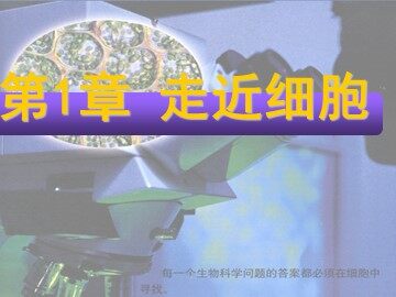 生物高中必修1第一章第一节课件3