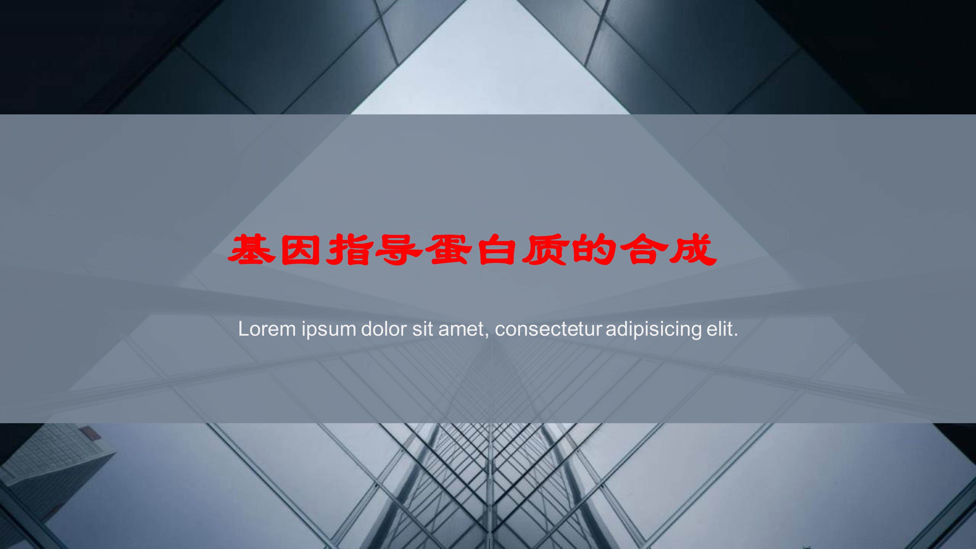 基因指导蛋白质的合成