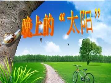 晚上的“太阳”_课件1