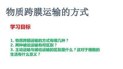 物质跨膜运输的方式