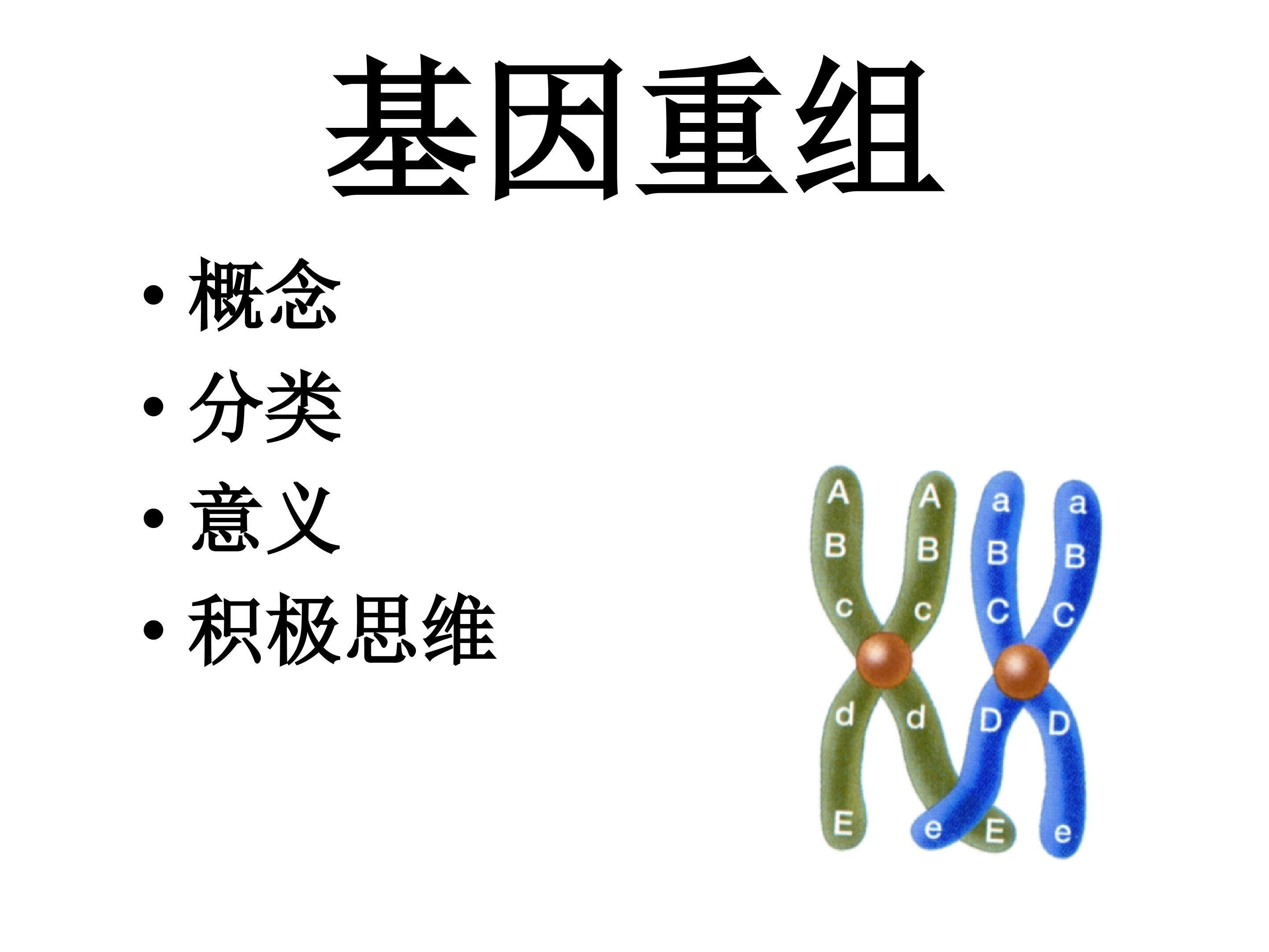 基因重组_课件1