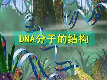 生物高中必修2第三章第二节课件1