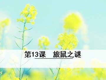 13＊旅鼠之谜