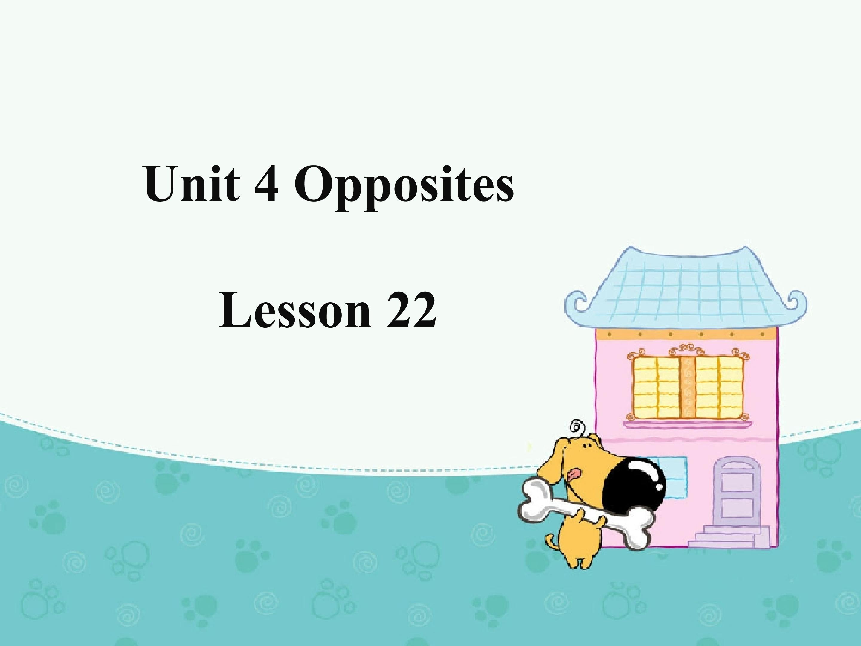 Unit 4 Opposites Lesson 22 