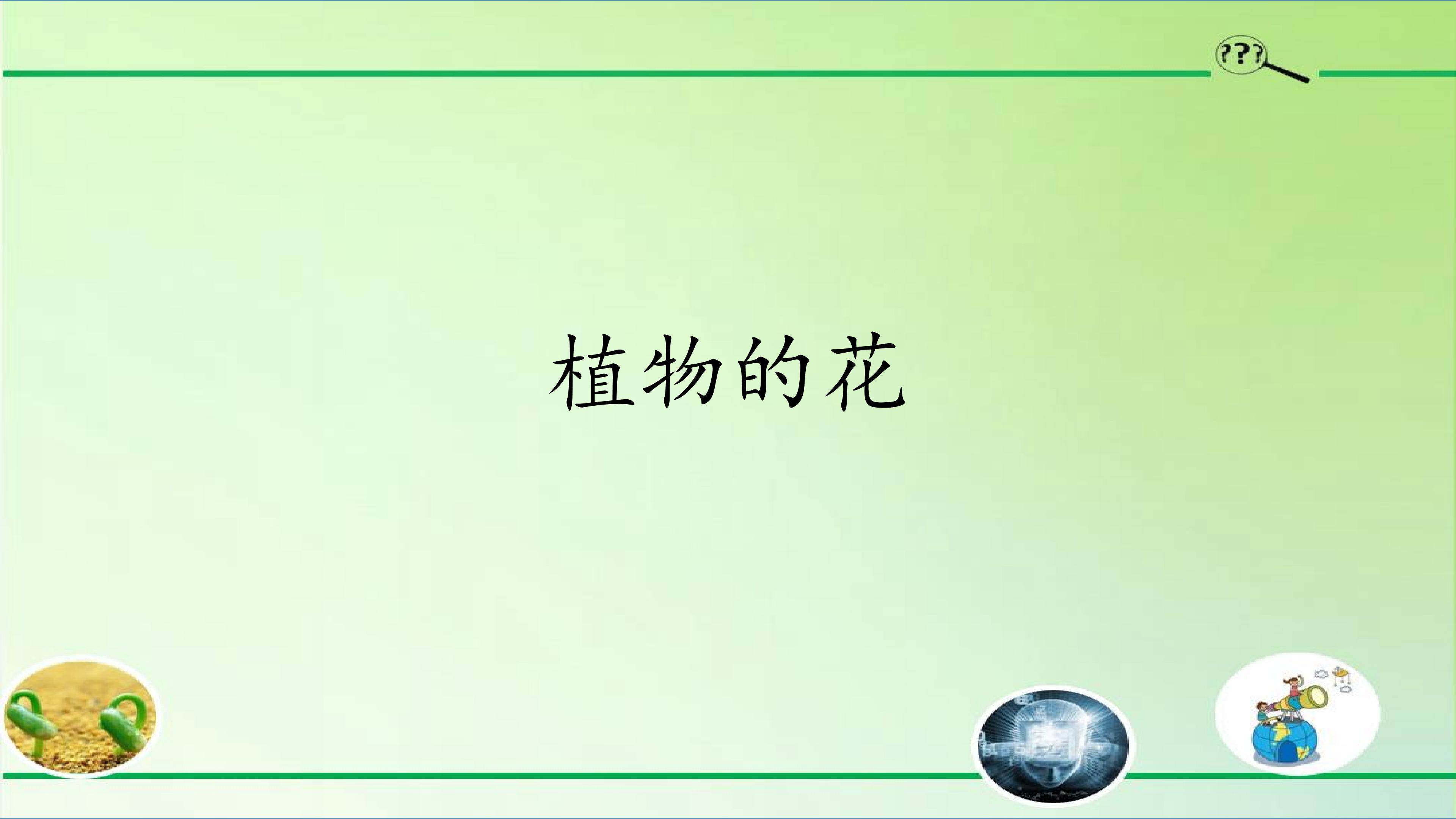 植物的花