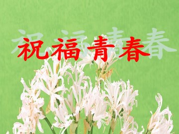 思想品德七年级上册第二单元第四课第三框的课例1