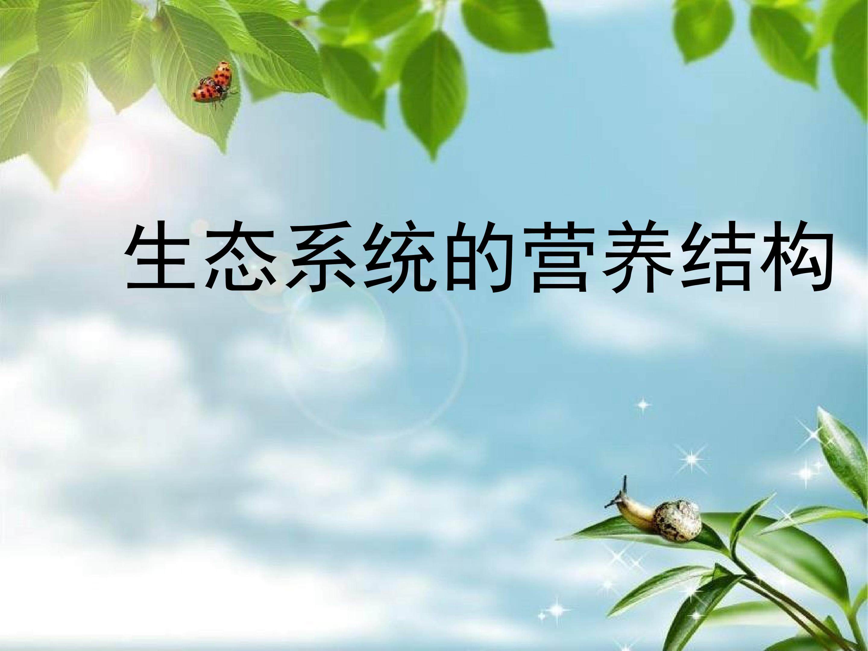 生态系统的营养结构