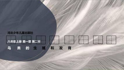 鸟类的生殖和发育