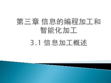 3.1.1 信息加工的过程和方式