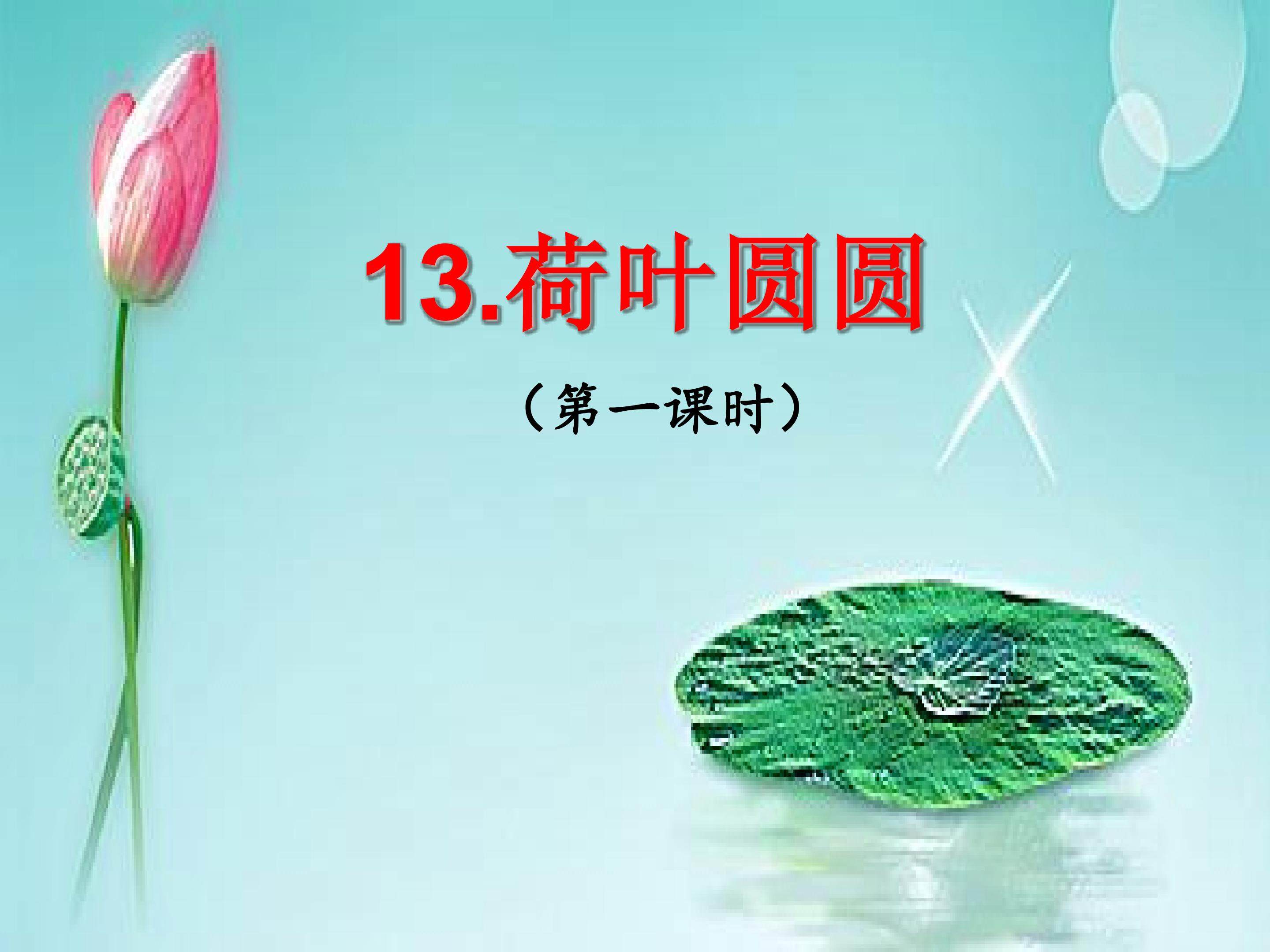 荷叶圆圆（第一课时）