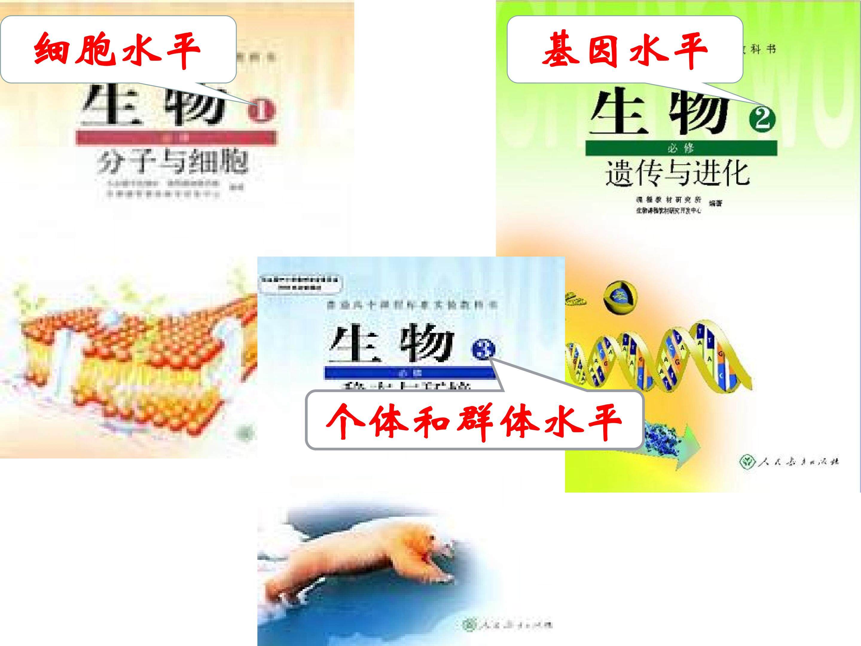 1.1细胞生活的环境