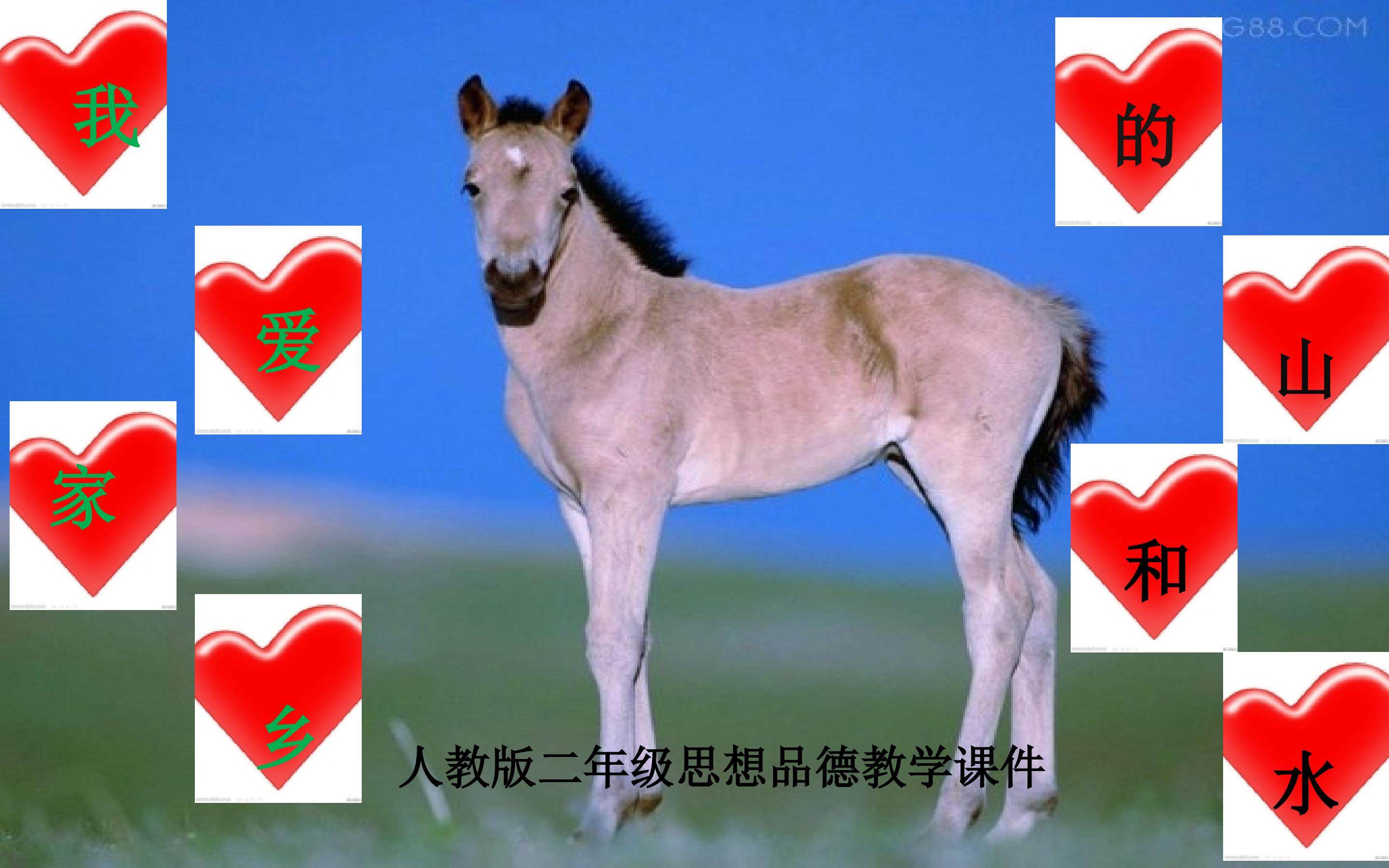 我爱家乡的山和水
