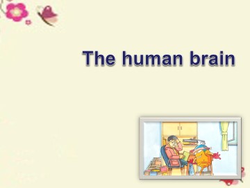 The human brain_课件1