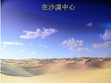 在沙漠中心_课件4