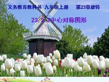 23.2.2 中心对称图形