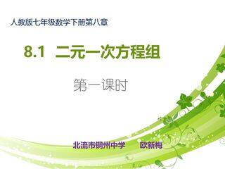 8.1二元一次方程(组)