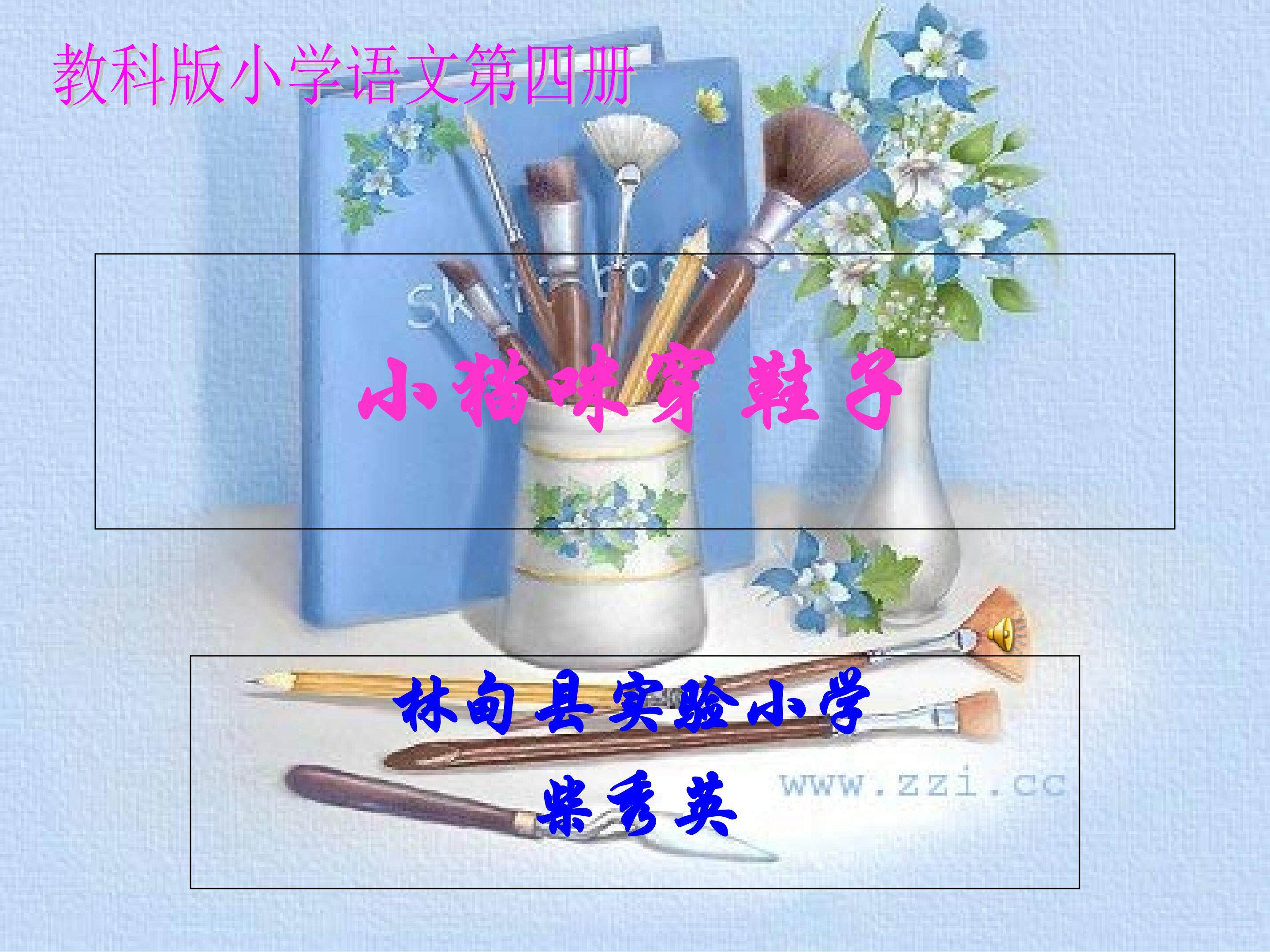 小猫咪穿鞋子