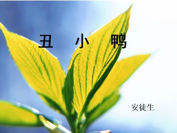 丑小鸭_课件15