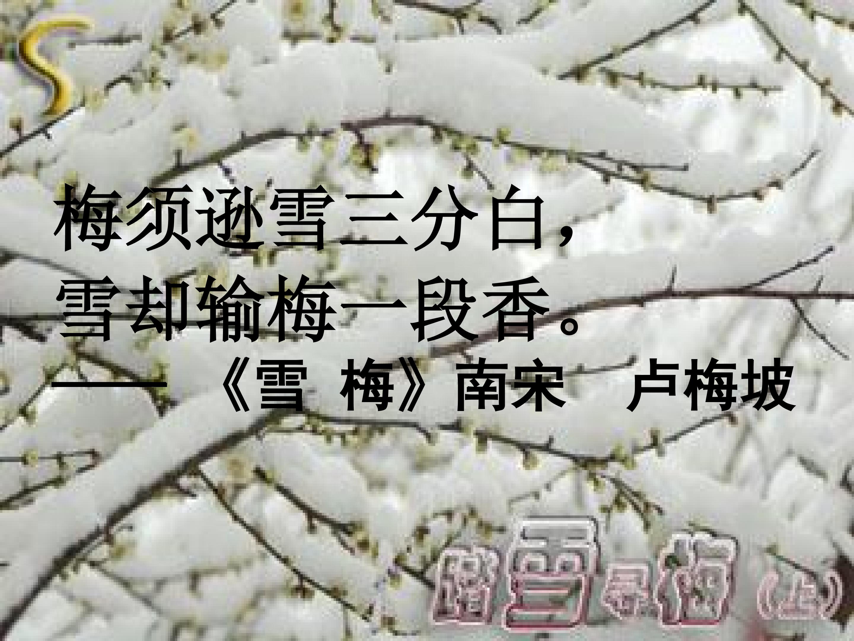 51.jpg