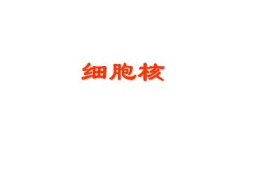 细胞核_课件1