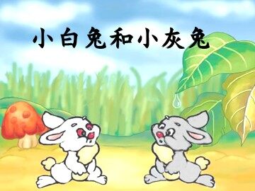 26 小白兔和小灰兔 