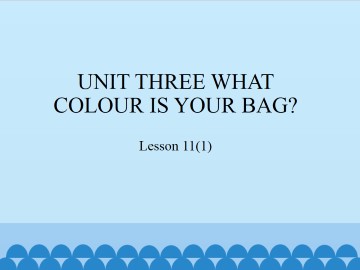 UNIT THREE WHAT COLOUR IS YOUR BAG?-Lesson 11(1)_课件1