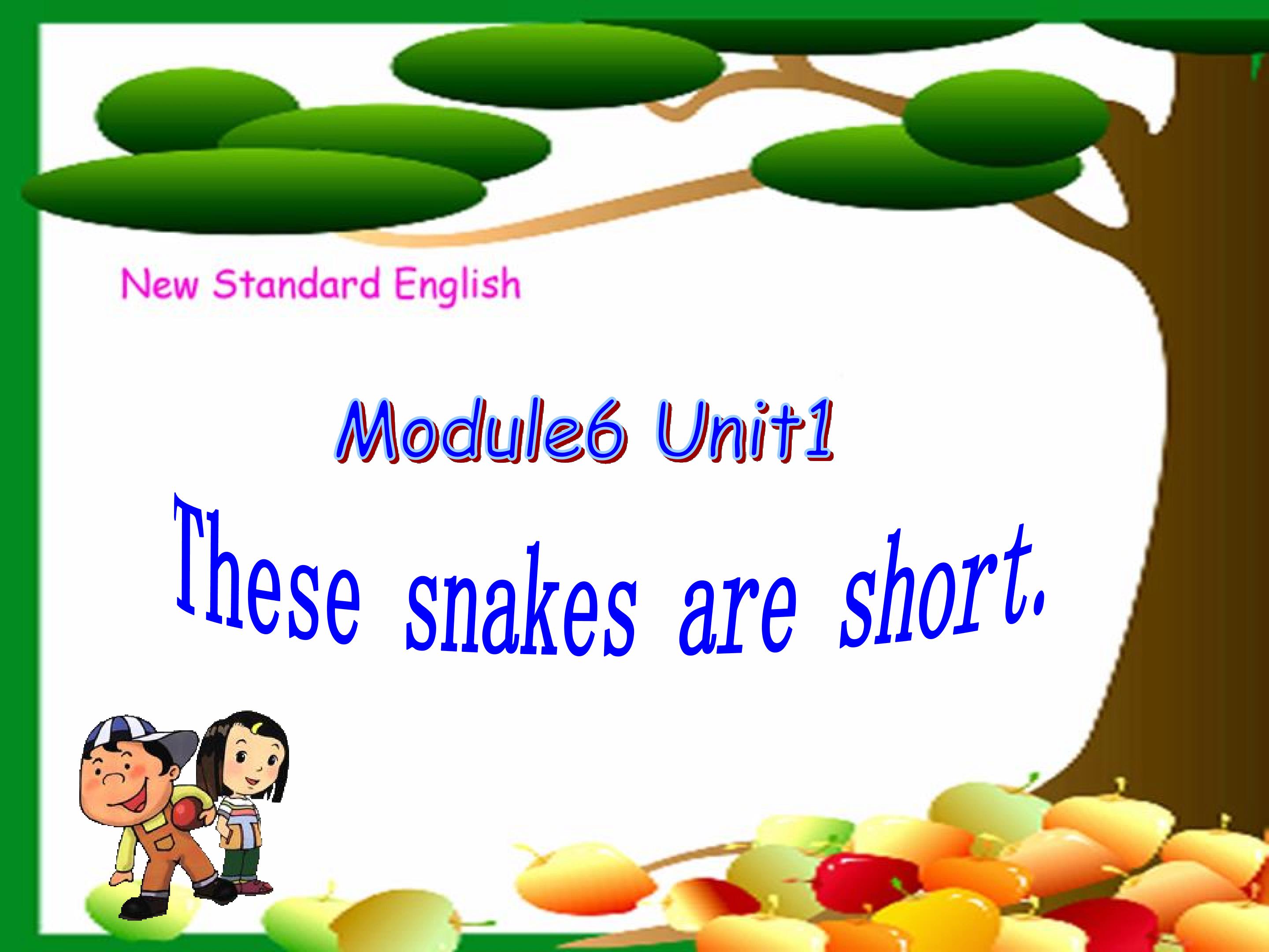 Module 6 Unit 1 These snakes are short.