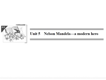 Nelson Mandela - a modern hero_课件34