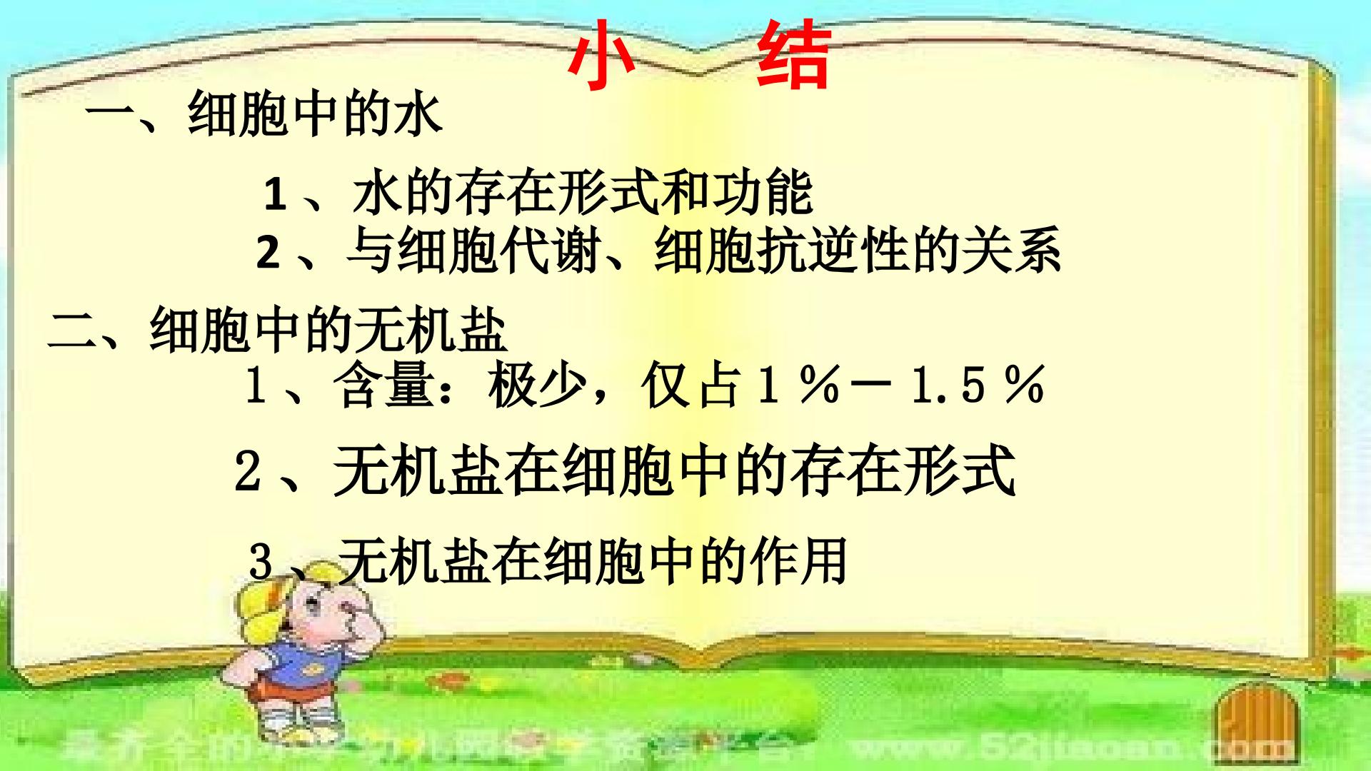 16.jpg