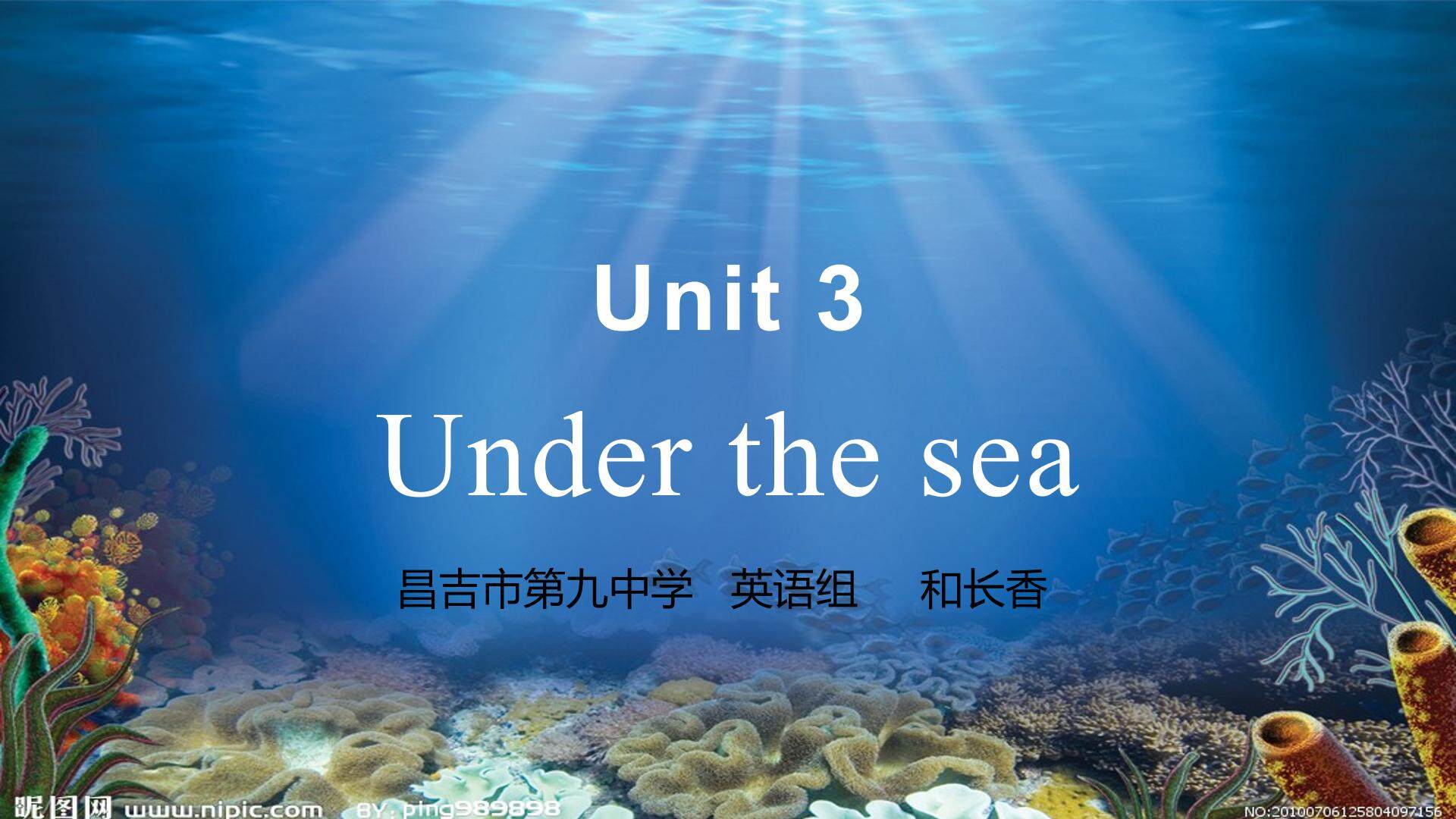选修七 unit 3 Under the sea 阅读