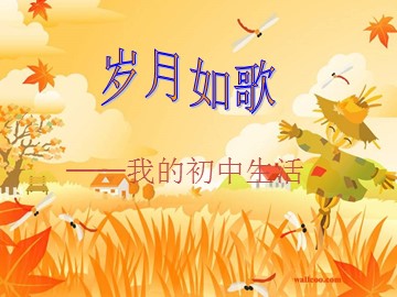 岁月如歌——我的初中生活