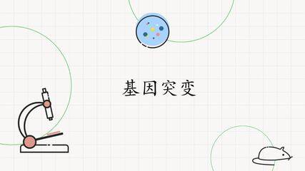 基因突变
