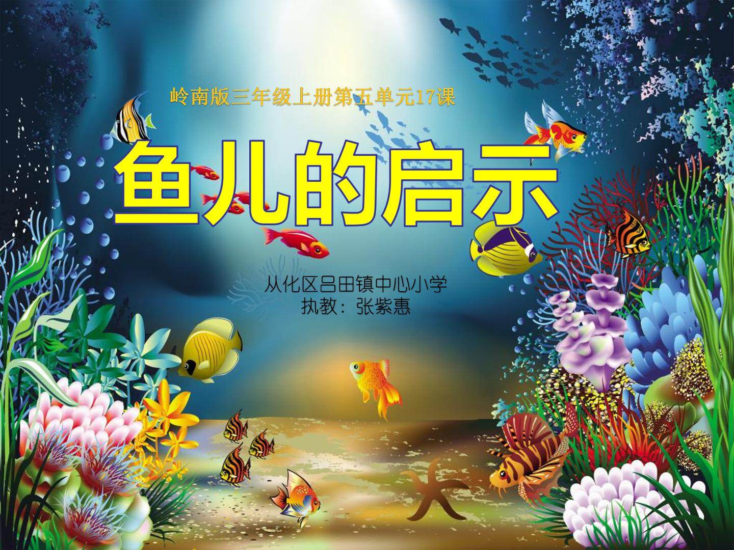 三年级上册《鱼儿的启示》课件 张紫惠