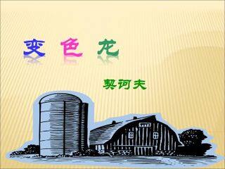 变色龙_课件6